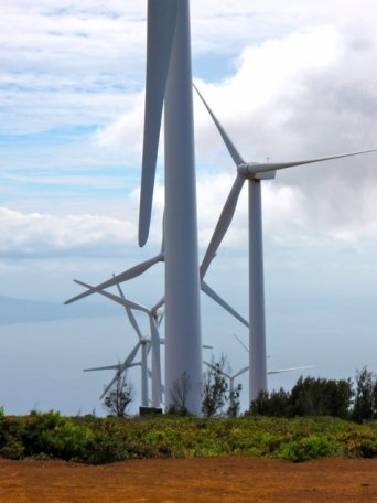 personal growth for sustainable living windmills